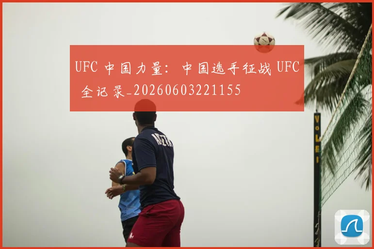UFC 中国力量：中国选手征战 UFC 全记录_20260603221155