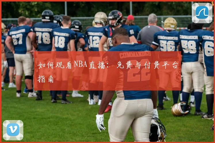 如何观看NBA直播：免费与付费平台指南